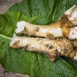 Củ cải ngựa Horseradish