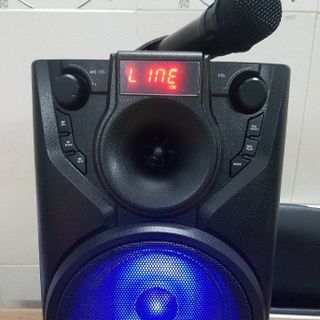 Tổng Hợp Loa Karaoke Mini Mới VềThiết Kế Đẹp Mắt