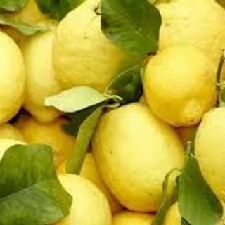 rau củ đà lạt