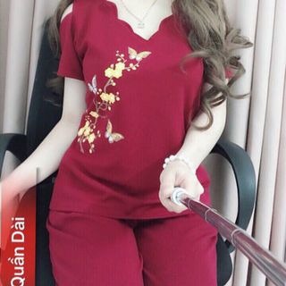 Sét bộ cát hàn hoa xuân bướm tết