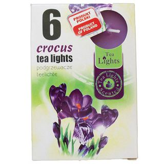 Hộp 6 nến tealight thơm Admit Bispol Châu Âu
