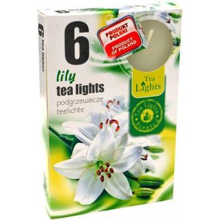 Hộp 6 nến tealight thơm Admit Bispol Châu Âu