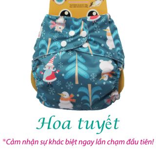 BỈM VẢI DORABE