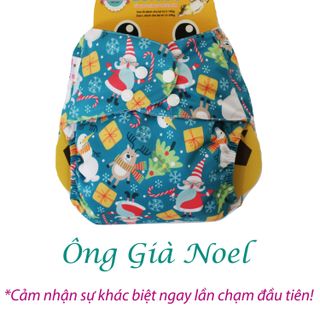 BỈM VẢI DORABE