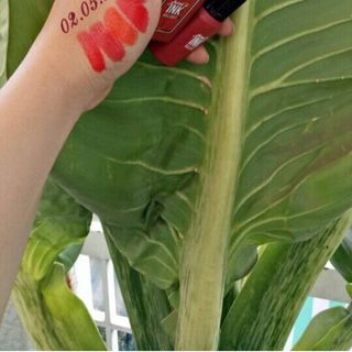 Son kem ink sỉ 28k