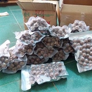 Hạt Macca úc