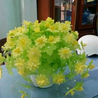 chậu hoa để bàn