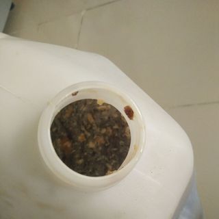 Mật ong rừng nguyên chất 100
