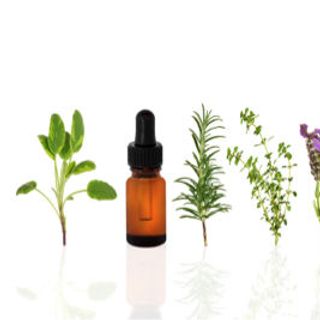 TINH DẦU XÔNG PHÒNG Lọ 10ml - CHUYÊN BỎ SỈ