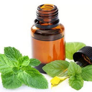 TINH DẦU XÔNG PHÒNG Lọ 10ml - CHUYÊN BỎ SỈ
