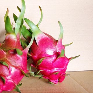 Thanh long Phan Thiết