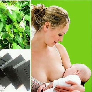 chè vằng lợi sữa