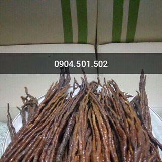 Nấm Linh Chi Sừng Hươu