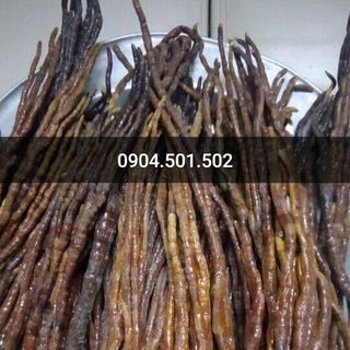 Nấm Linh Chi Sừng Hươu