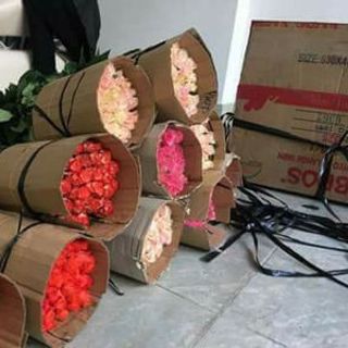 sỉ hoa hồng