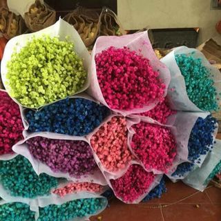 hoa cỏ