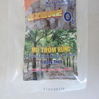 Mủ trôm rừng