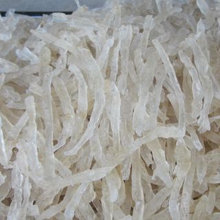 Mủ trôm rừng