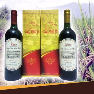 NẾP CẨM LÊN MEN NGỌC ÂN