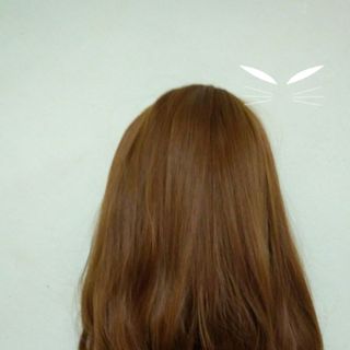 TÓC GIẢ BỘ NGUYÊN ĐẦU