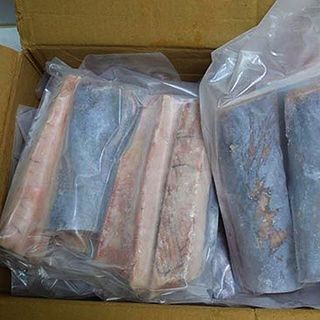 LƯỜN CÁ THU - CHUYÊN SỈ