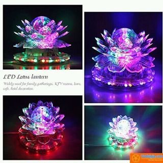 bong sen den led