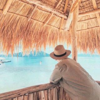 mũ cói phớt panama