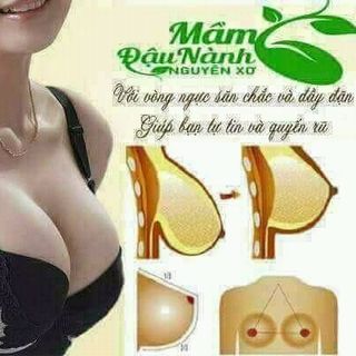 Tinh mầm đậu nành nguyên xơ