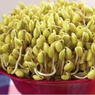 Tinh mầm đậu nành nguyên xơ