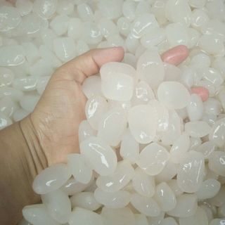 hạt đác tươi