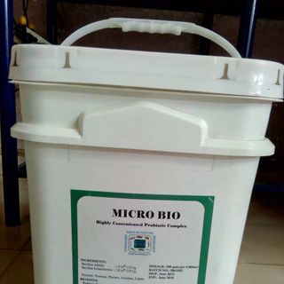 Men vi sinh enzyme xử lý nước khử mùi làm sạch đáy cắt tảo giá sỉ