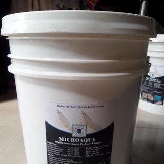 Men vi sinh enzyme xử lý nước khử mùi làm sạch đáy cắt tảo giá sỉ