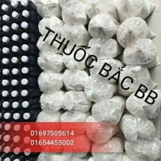THUỐC BẮC TÁI TẠO DA BB