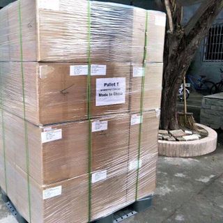 Hoa hồng mạ vàng 24k