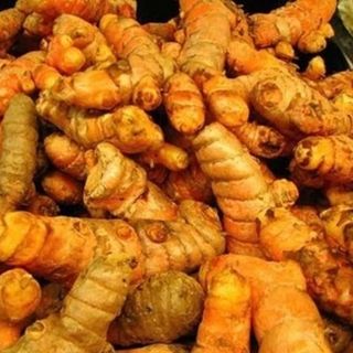 Củ nghệ đỏ Gia Lai
