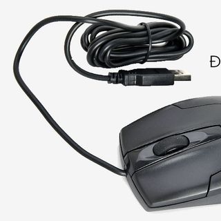 Newmen - Chuột quang có dây dùng cho Game văn phòng - phiên bản nâng cấp M180