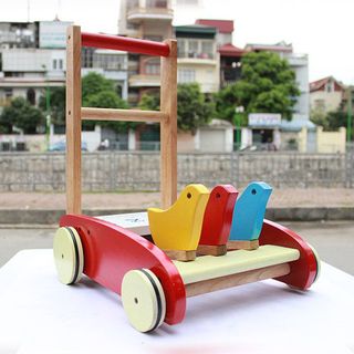 Xe tập đi 3 con chim