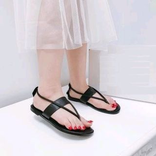 sandal đủ loại