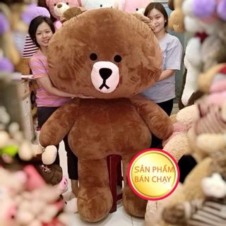 Gấu Teddy - Brown - Heo Hồng