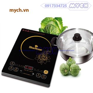 Bếp Từ Bluestone ICB-6627