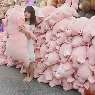 Gấu Teddy - Brown - Heo Hồng