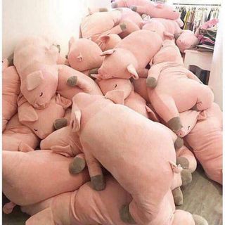 Gấu Teddy - Brown - Heo Hồng