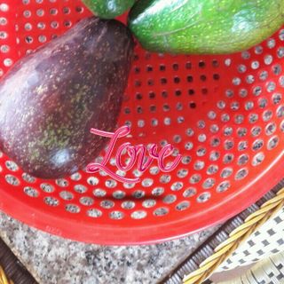 bơ đầu mùa