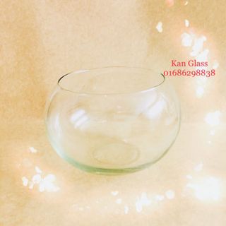 Bể cá chậu cây sen đá thủy tinh trang trí D24 x H16
