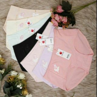 Combo 10 Quần lót cotton Thái Lan