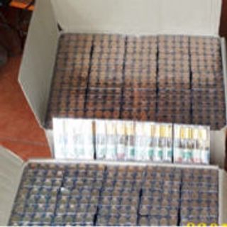 Dầu lăn thảo dược Thái Lan