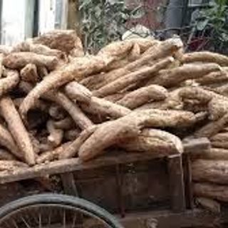 Bột sắn dây nguyên chất