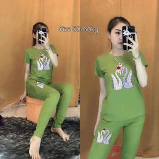 ĐỒ BỘ THUN COTTON 4D