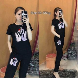ĐỒ BỘ THUN COTTON 4D