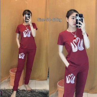 ĐỒ BỘ THUN COTTON 4D